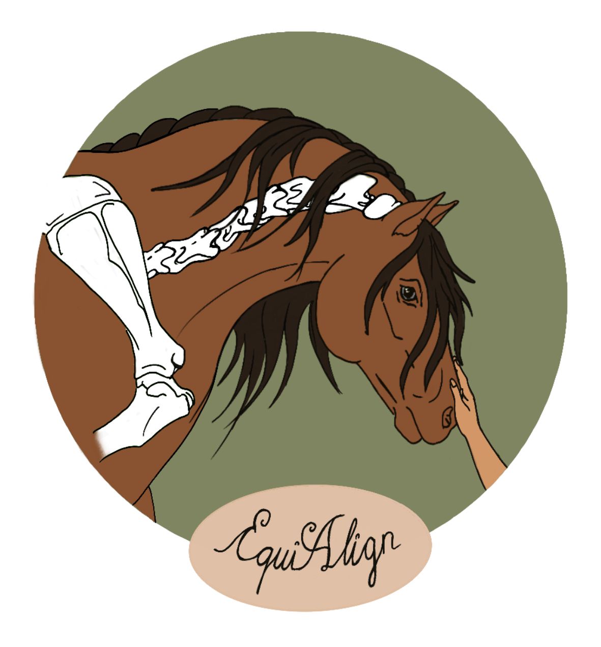 Prävention • Rehabilitation •  Chiropraktik