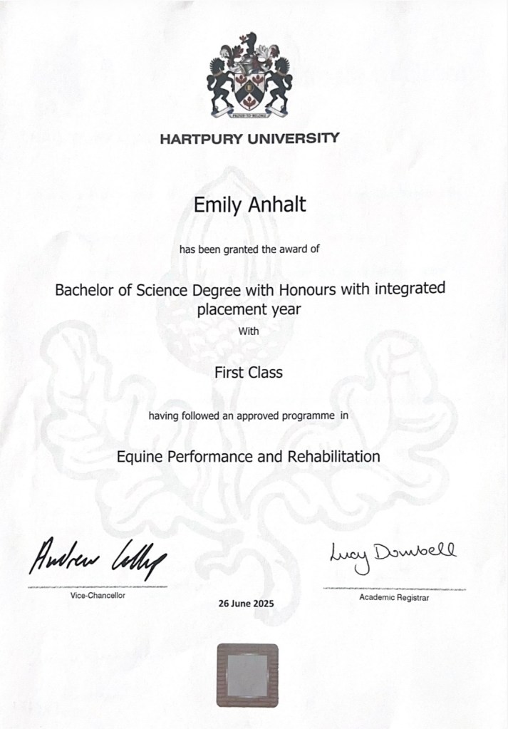 Bachelor Equine Performance and Rehabilitation Zertifikat von Hartpury University